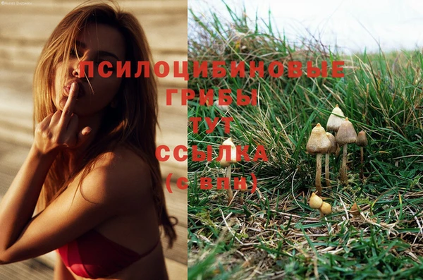 дистиллят марихуана Аркадак